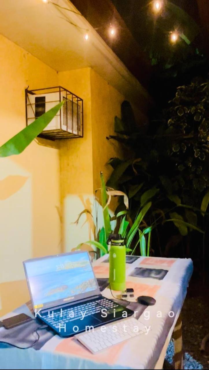 Ameeza Houze Homestay - Siargao General Luna  Kültér fotó