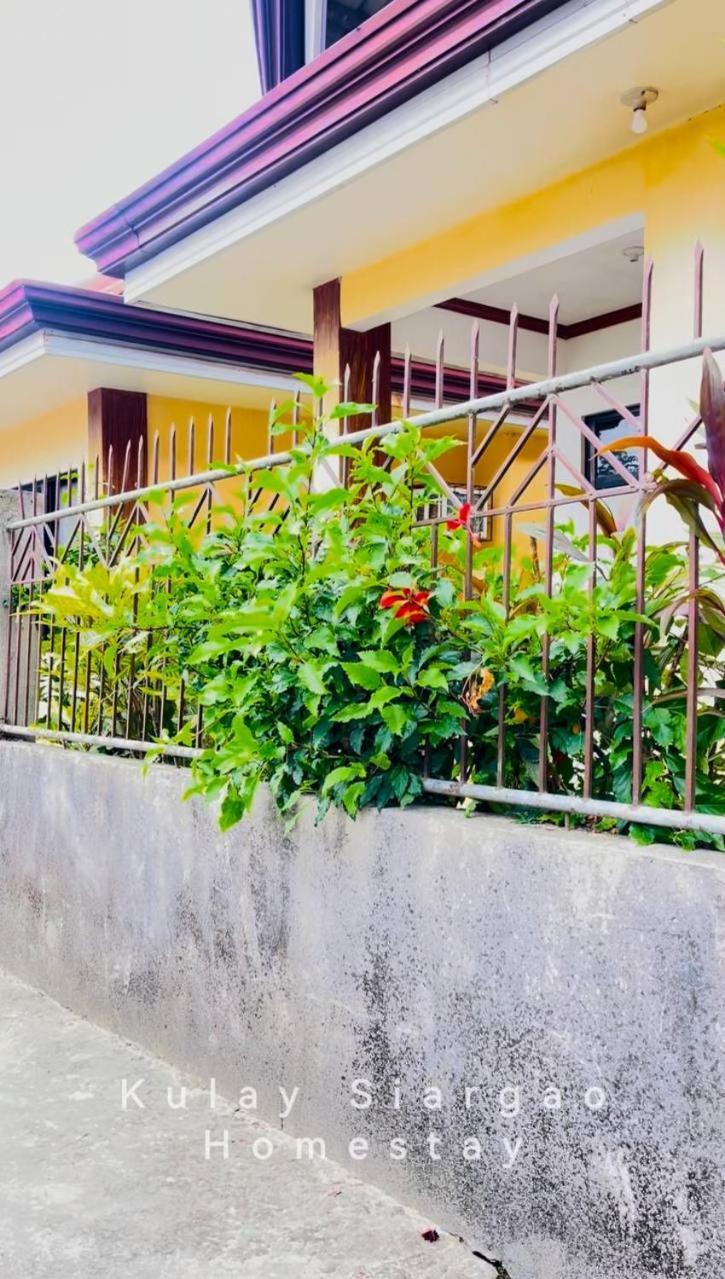 Ameeza Houze Homestay - Siargao General Luna  Kültér fotó